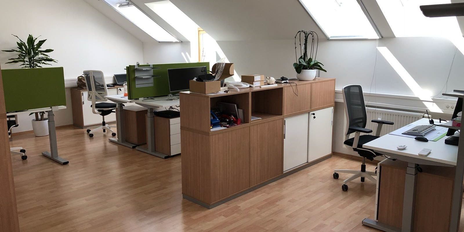 WhatsApp Image 2018-08-16 at 11.36.46